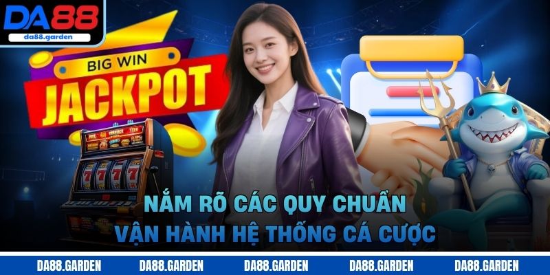 Điều khoản và điều kiện